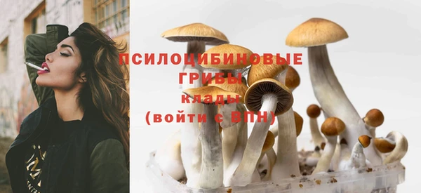 гидропоника Дмитров